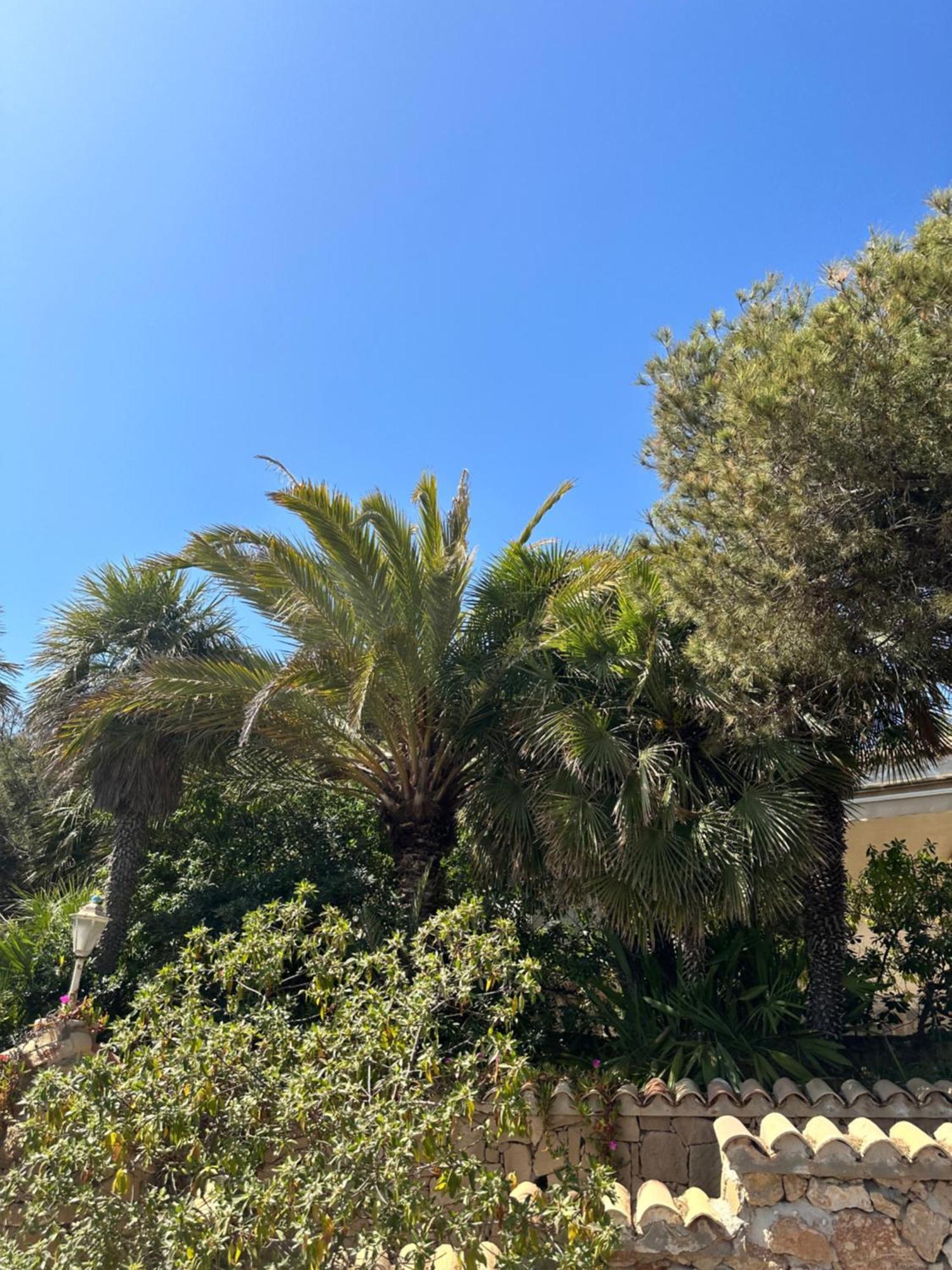 Ferienwohnung Relax Casa Costa Blanka Santa Pola Exterior foto
